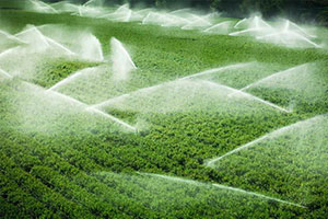 Supmea products are used in the new water plant