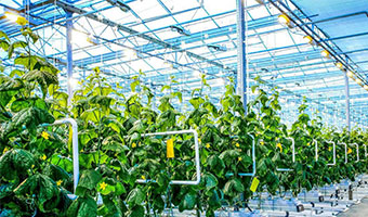 The coordination of flowmeters with quantitative control cabinets and data loggers in agricultural irrigation