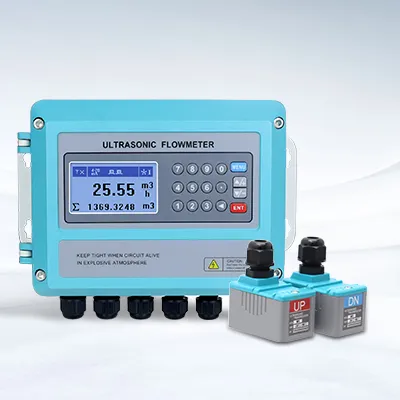 Ultrasonic Flow Meters