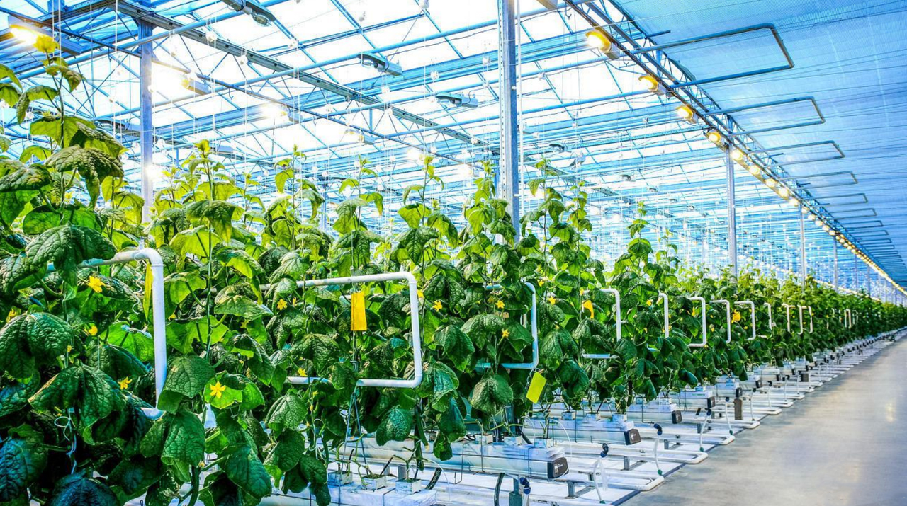 The Coordination of Flowmeters with Quantitative Control Cabinets and Data Loggers in Agricultural Irrigation