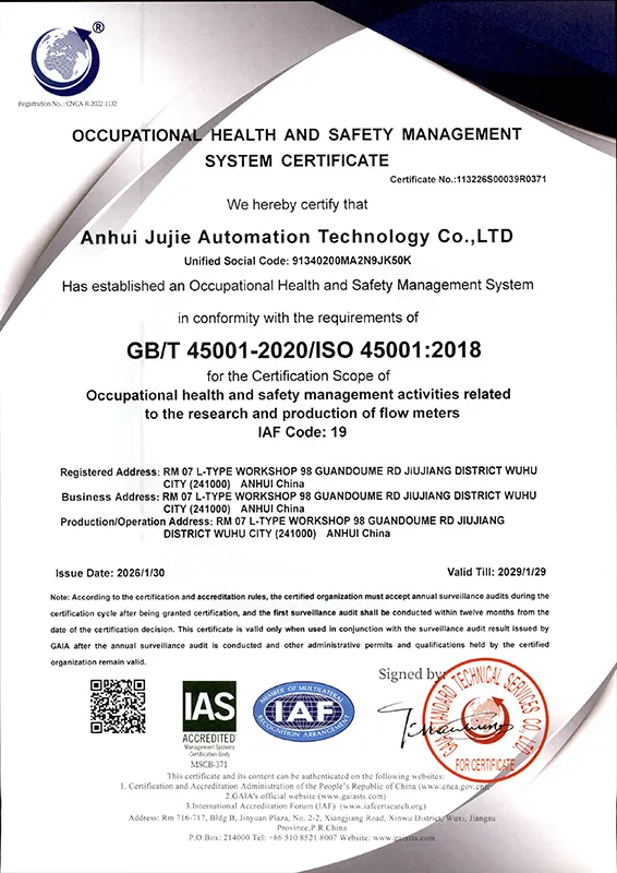 iso45001 occupational health and safety management systems