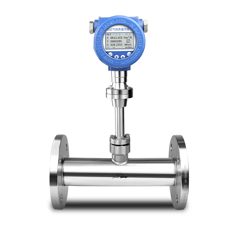 Biogas Flow Meter